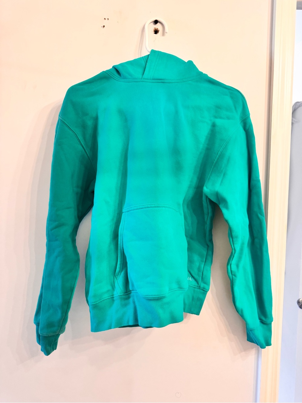 Aritzia Teal Green Hoodie Sweater